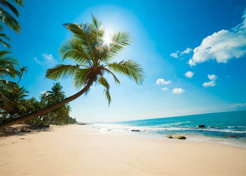 BELECO 9x6ft Fabric Tropical Beach Backdrop Tropical Sand Beach with Palm Trees Ocean Summer Hawaii Phtography Backdrop for Luau Party Decoration Birthday Banner Photoshoot Photo Background Props - Image 2